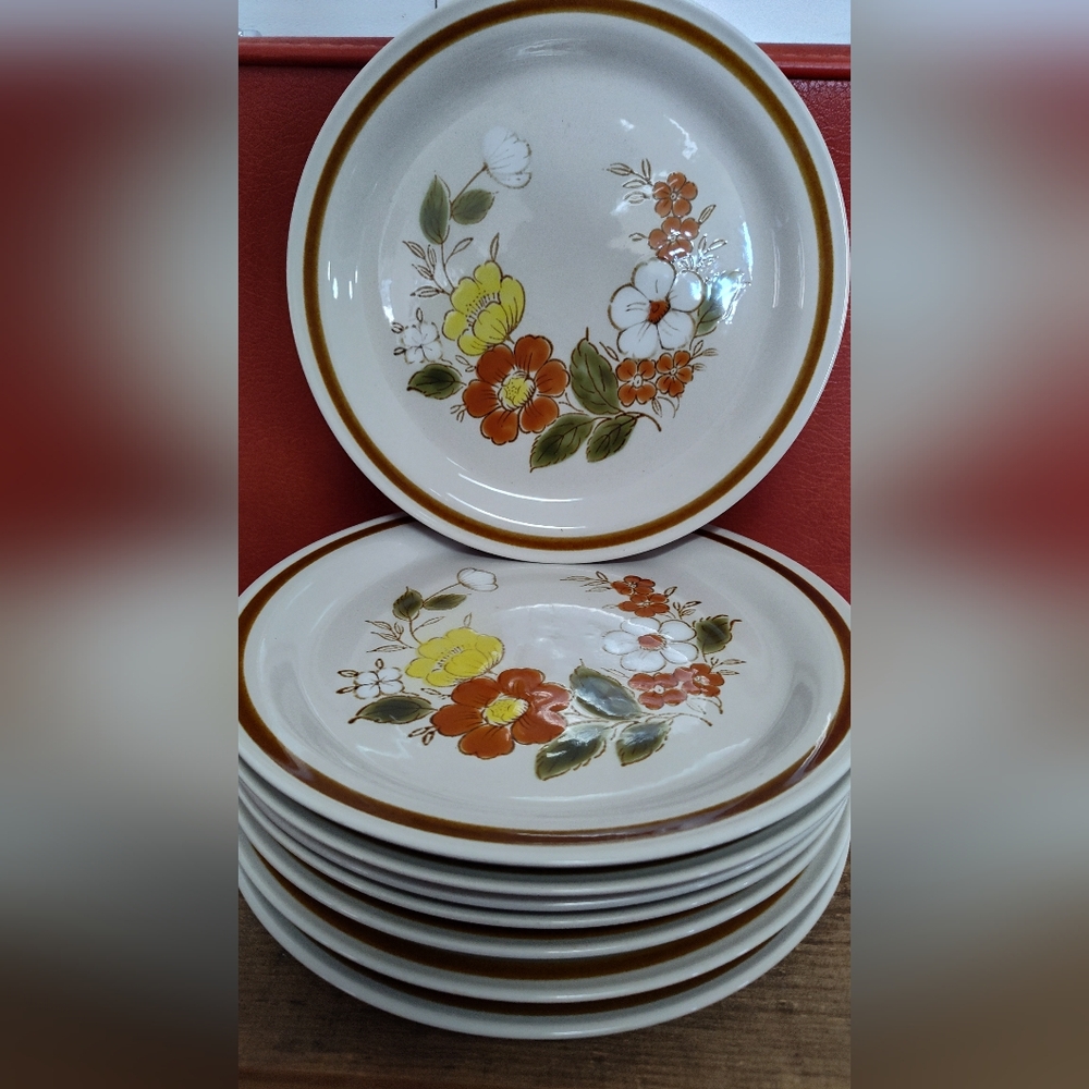 Vintage Japanese Stoneware Dinner Plates